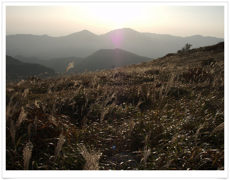 201151244AD3D33359AD7C