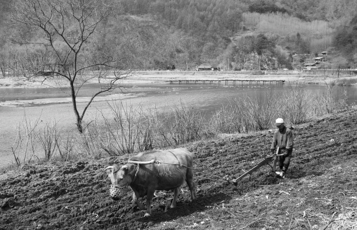 옛정취...