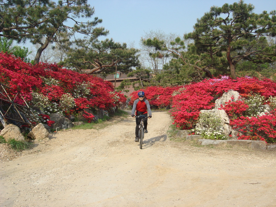 일MTB 이미지