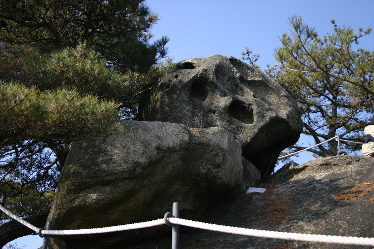 이미지