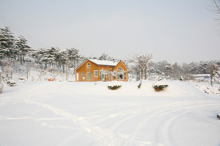 진경원민박캠핑장 이미지