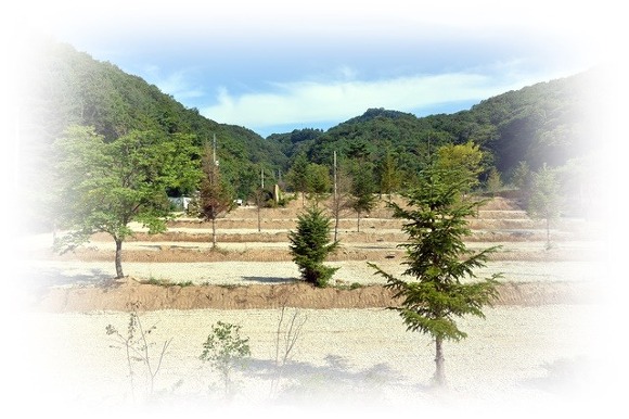 캠핑장 닭사육 동물복지인증 방목사육과 15차산업 체험교육농장 