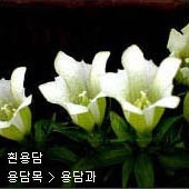 꽃이름 찾기