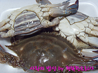 밥도둑 이미지
