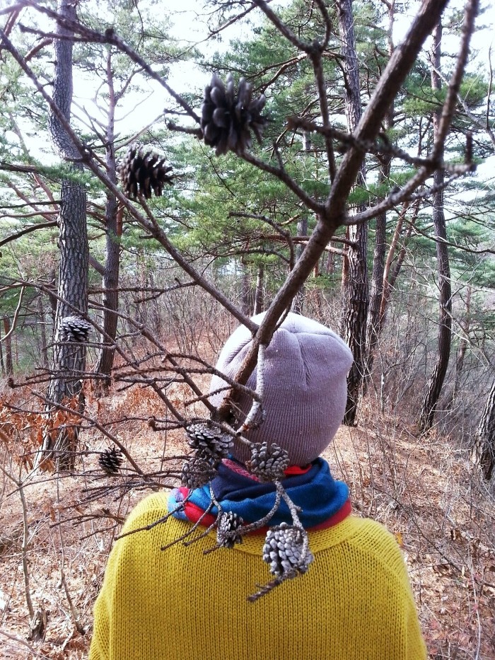 경북 영양군 검마산 휴양림에서 꽃작교 2주년을 기념하며 자연동화!