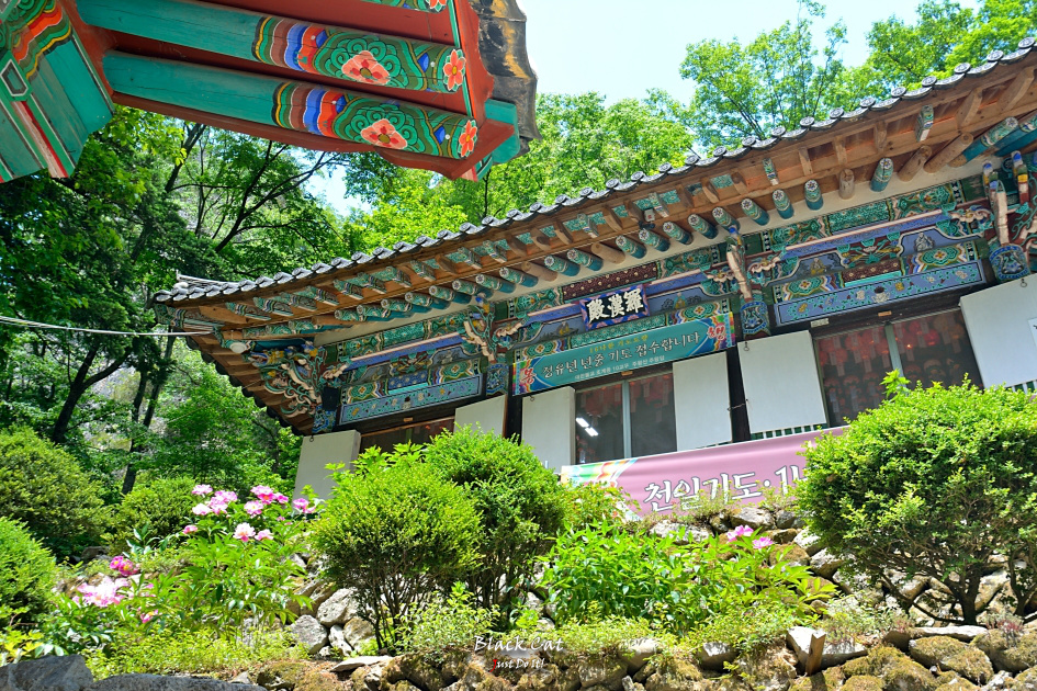 변함(Andante 111)-청송주왕산