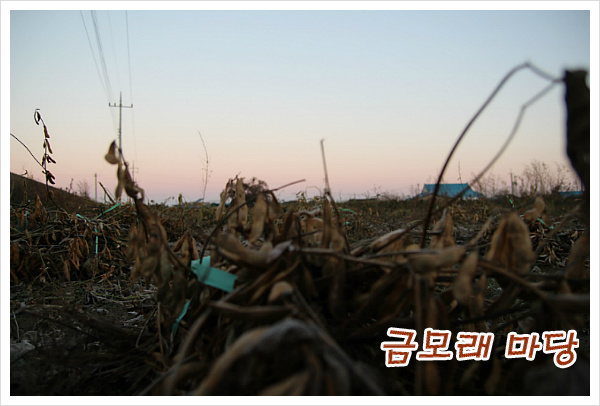 평생친구 이미지