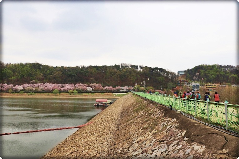 동남살수 이미지