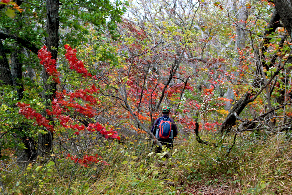 오대산 환종주(15.10.3)로 깊어가는 가을을 엿보다