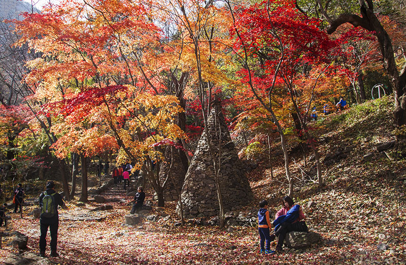Autumn Leaves - 신은성