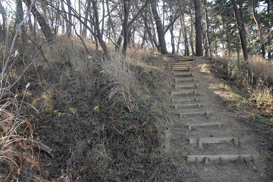 바다바라길 이미지