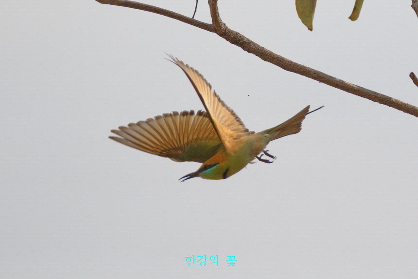 어떤날 태국하늘에
