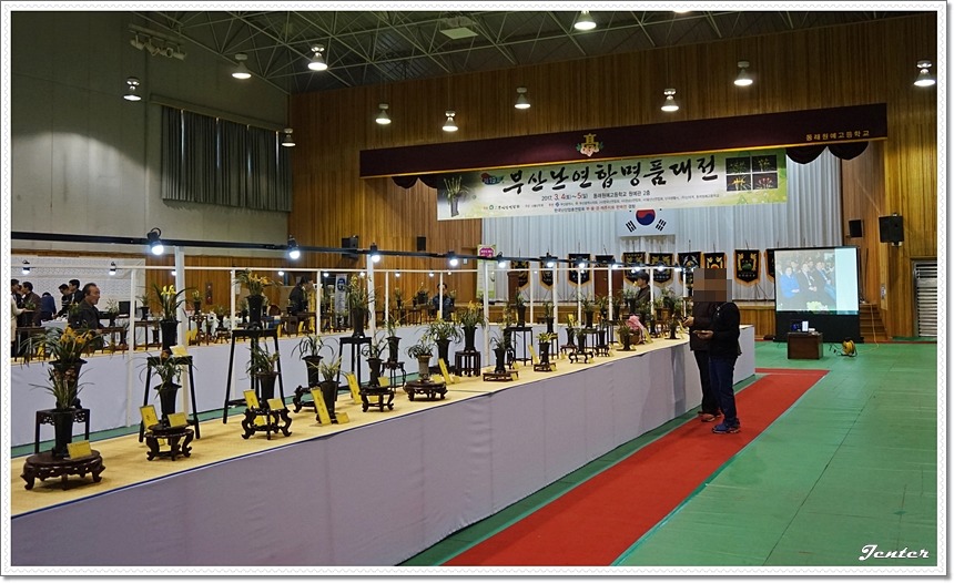 난 전시회에서 맞이한 봄 (부산 난연합 명품대전)