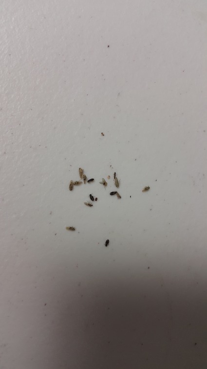 230FCE375957C5332E8604