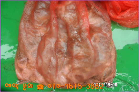 232AAA3D542809040F9195