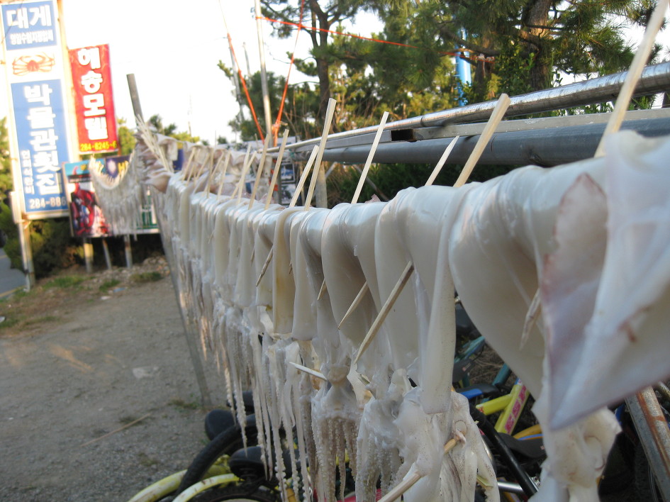 가장 아름다운 불꽃