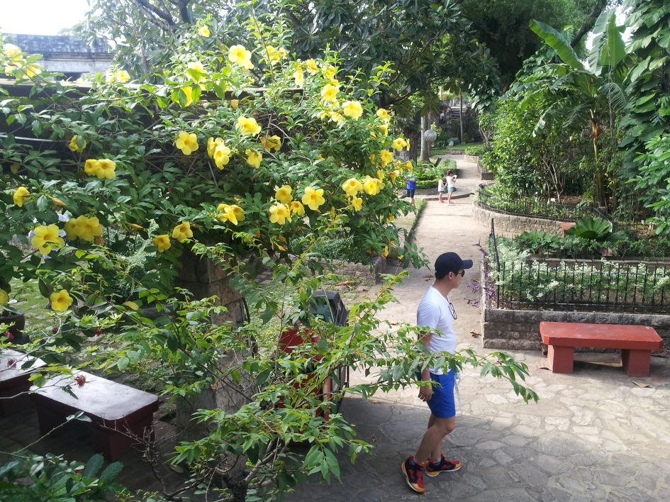 세부를 아름답게 해 주는 꽃,과일,먹거리...