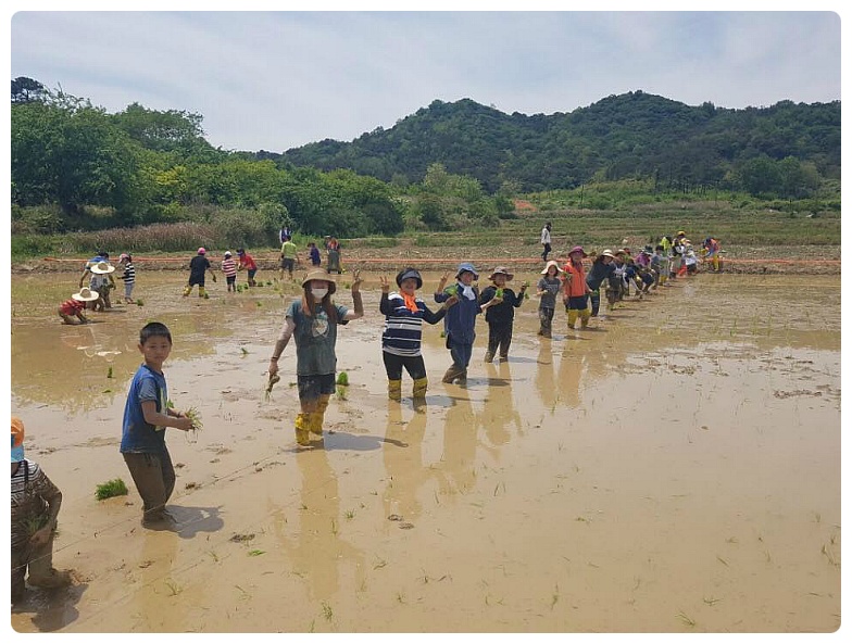 235ECE45595DFA3207C079