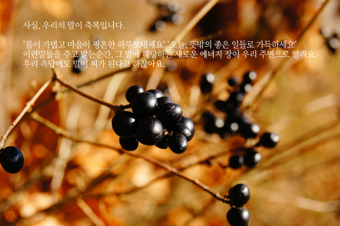 우리의 말이 곧...