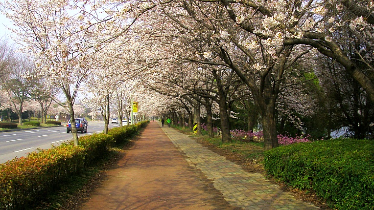 240DA144551902B433B48E