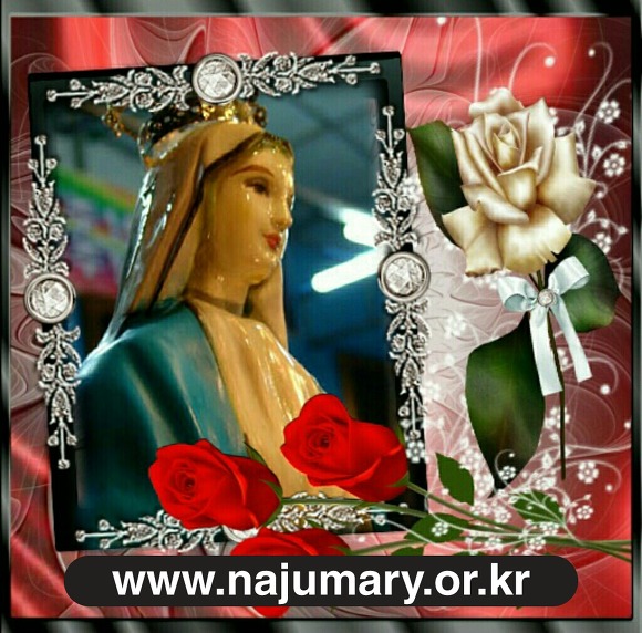 241B944554092EE617DFD6