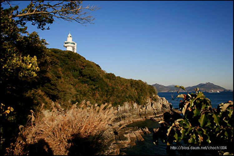 전통팥죽 이미지