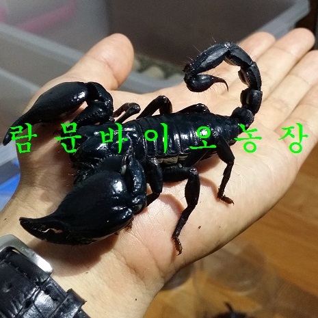 블로그 이미지