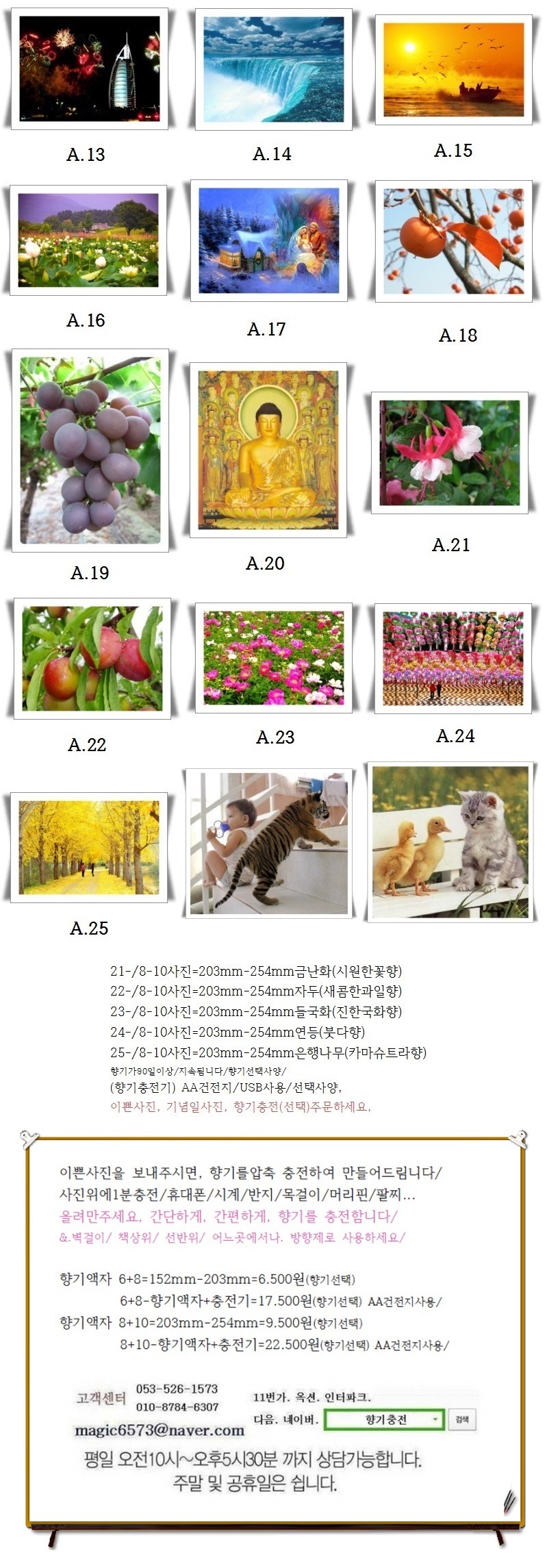 고창모양성제 임실N치즈축제