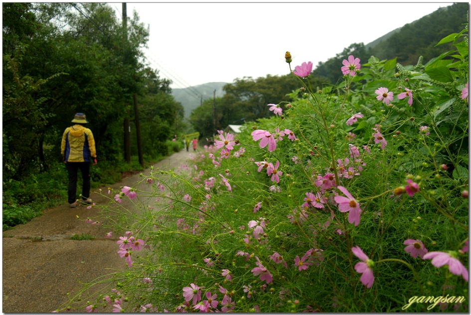 산행 한번 하기 정말 힘들다~/무장봉 산행이 무산되고 소금강산으로~