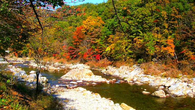 2516EC4E526DC69D0F6E3D