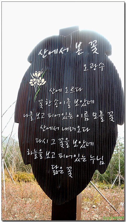 밀양상회 이미지