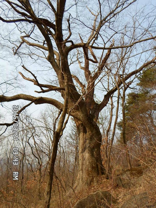 초당골 이미지