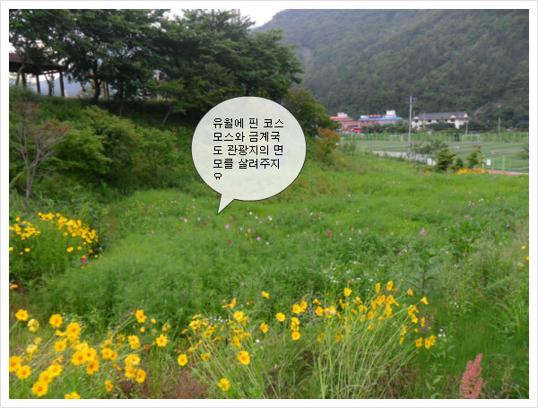 한반도가요주점 이미지
