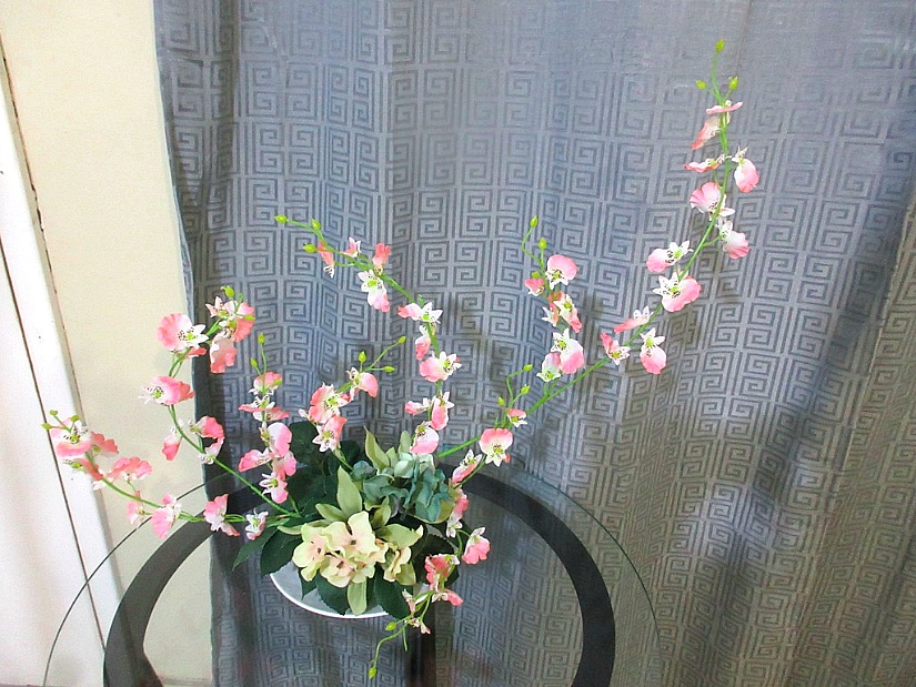 연습