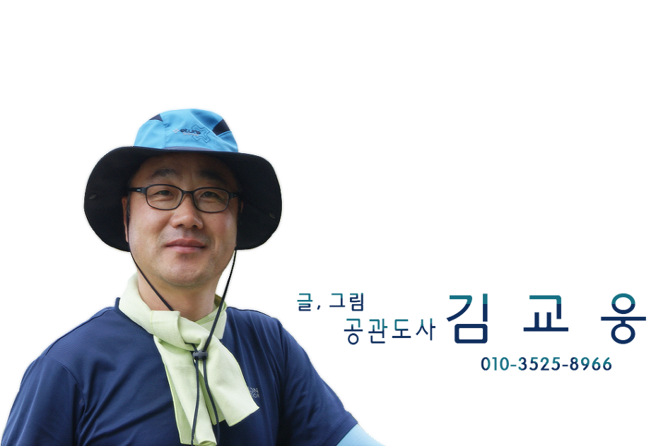 착한먹거리 이미지
