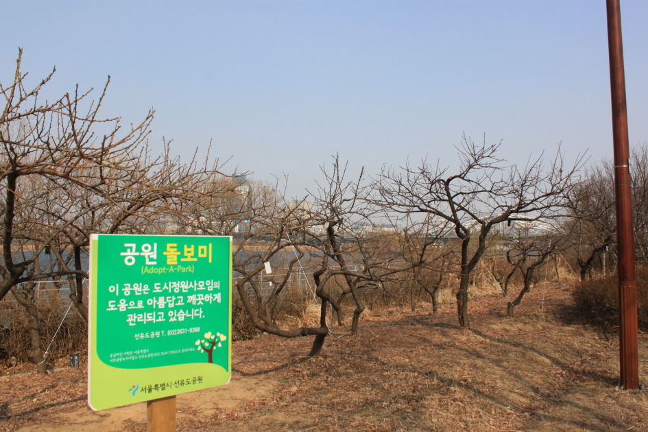 도시정원 이미지