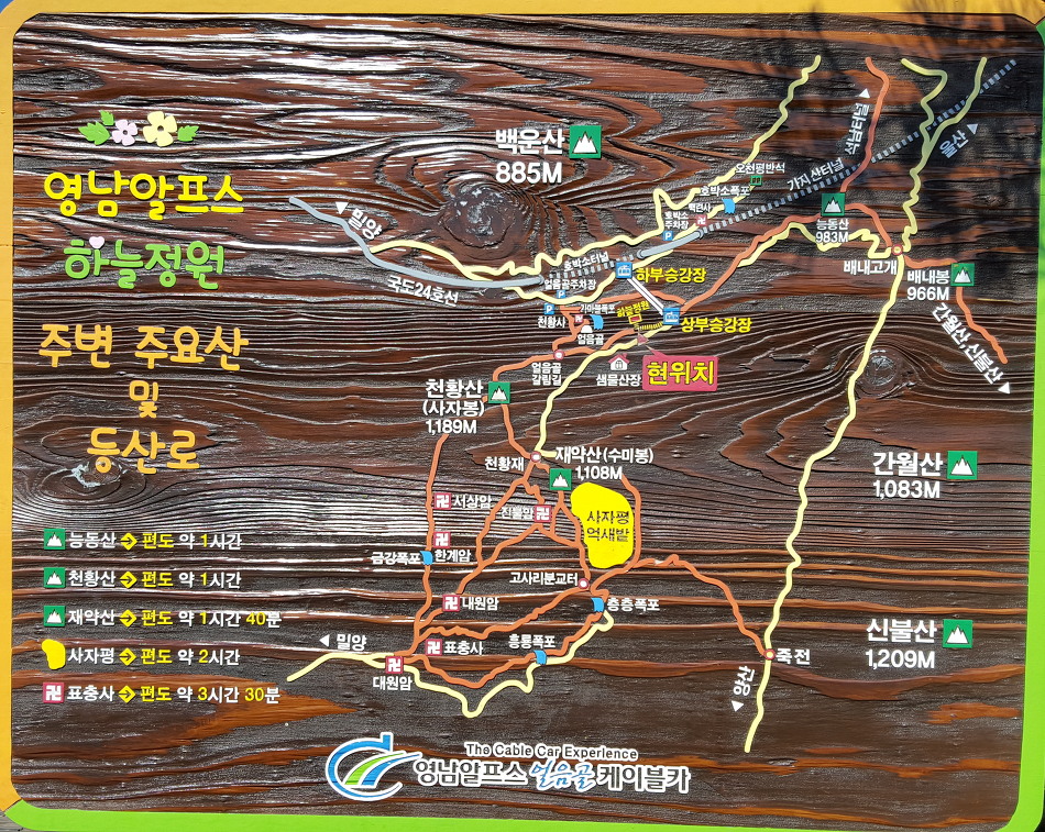 사자평 이미지