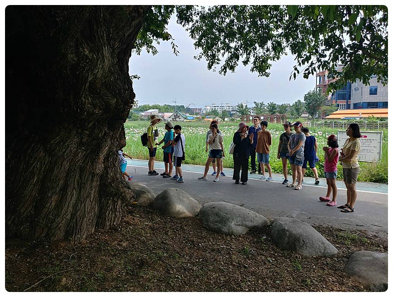 2769AD33597AFDE809719C