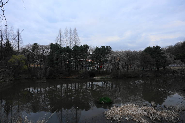 비룡지. 구(舊)경찰대학교. 용인시(龍仁市)
