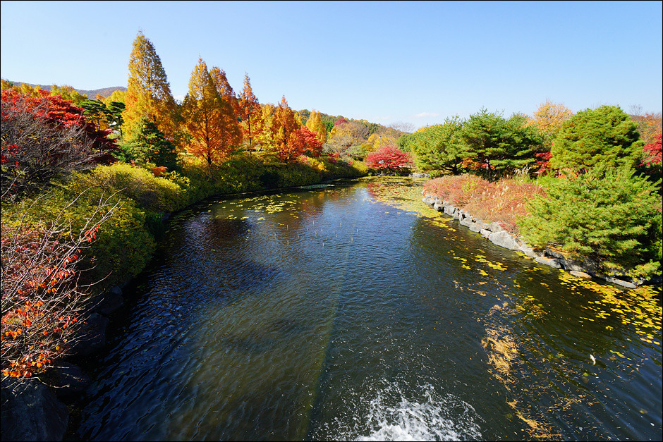 세종시 금강수목원의 아름다운 가을