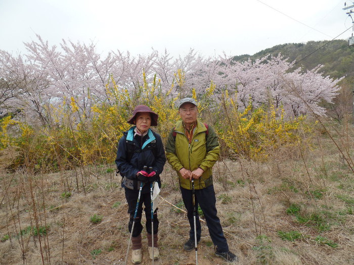 1045- 慶州 南山 고위봉(高位峯:494m)을 다녀왔어요.