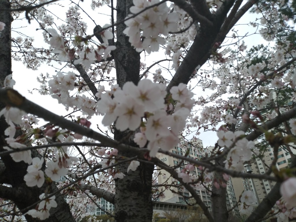 19.4.9(화)