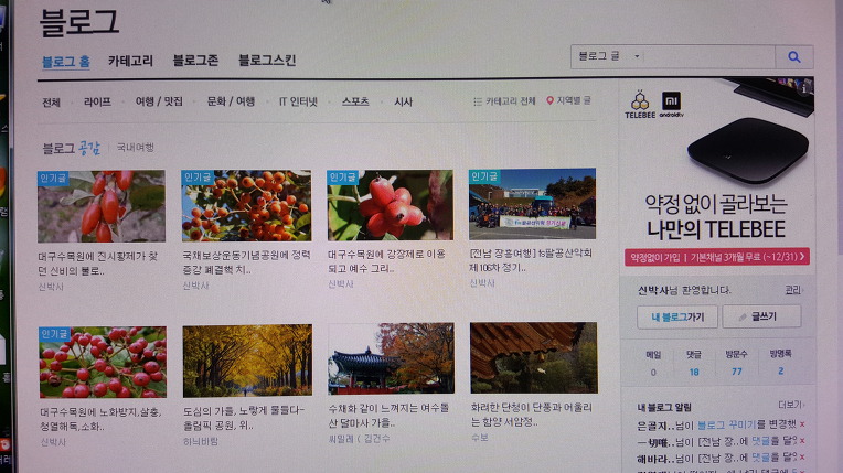 [대구시 중구]  다음블로그 신박사 2017년 결산 - 신박사의 식물도감 : 꽃,효능,전설,노래.