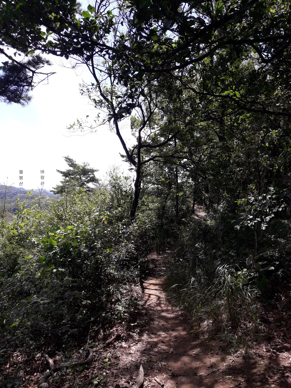 [자유산행]안성 서운산,부소산,위례산,성거산(2018년9월2일)