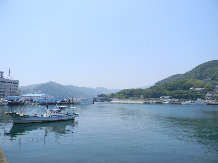 부산항 국제여객터미널에서 대마도 이즈하라항까지 (대한해협)