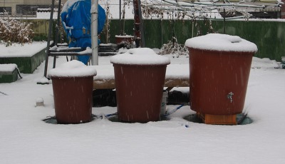눈이 내리던 오후...(In the afternoon of snow)