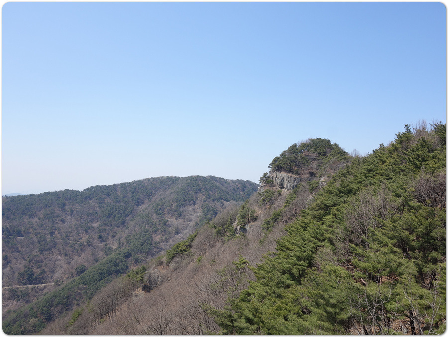 솔숲속 진달래 절정의 진주.작은 방어산~괘방산