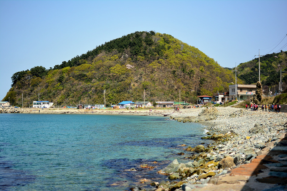  호미곶 호미반도 둘레길을 걸으면서 봄 기운을 듬뿍 받게 된다 
