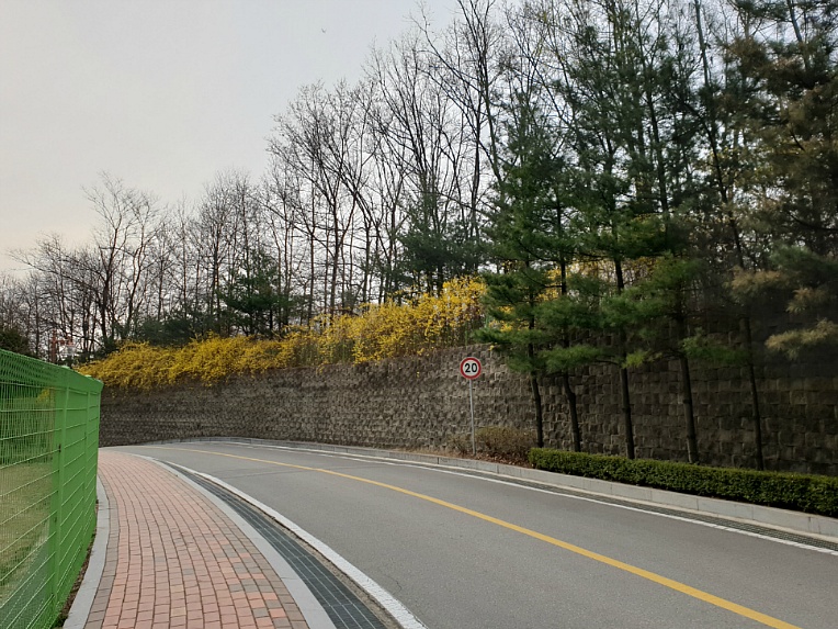산책을 하면 기분이 좋아져요/ 우리 아파트에서 ....