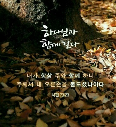 욥기 16장 욥의 대답
